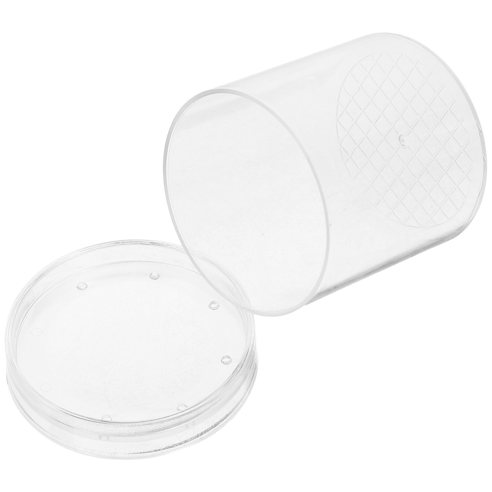 3X Magnifying Insect Observati - Kids Outdoor Tools 评论和价格