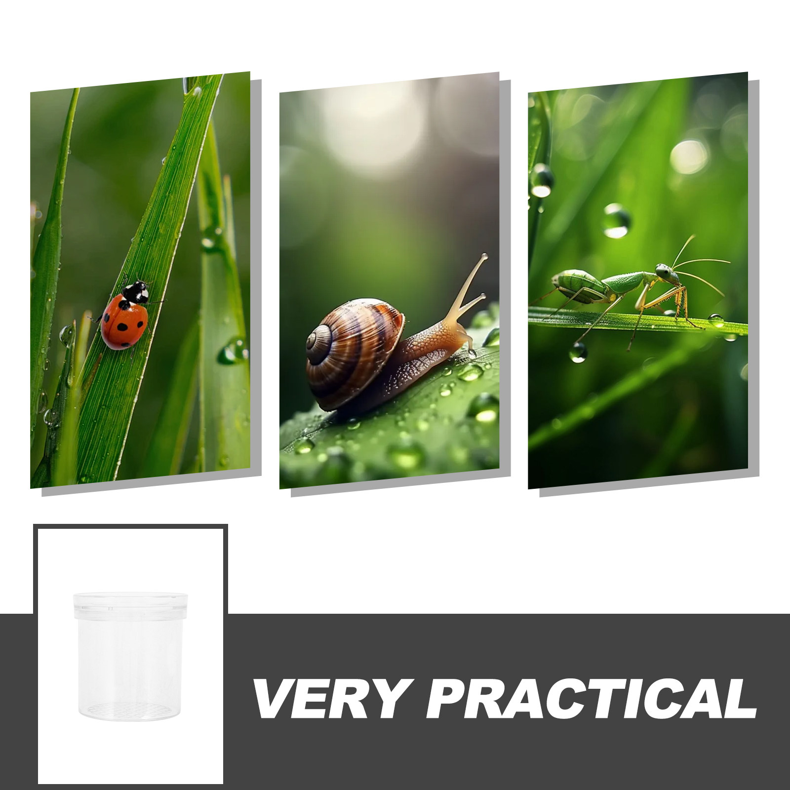 3X Magnifying Insect Observati - Kids Outdoor Tools 评论和价格