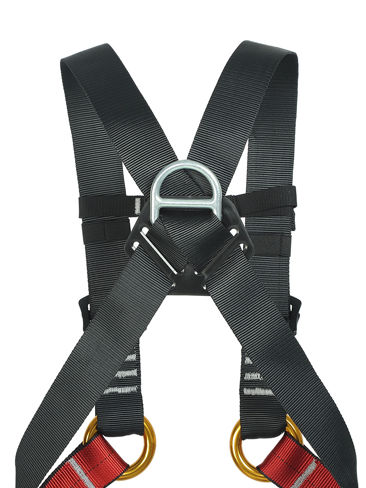 Kid's Safety Belt Child Full B - Kids Outdoor Kit 评论和价格