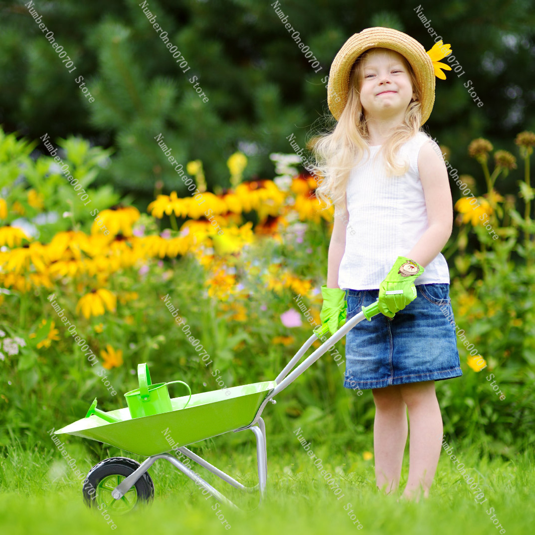 Kids Outdoor Wheelbarrow, Gree - Play Kids Outdoor 评论和价格